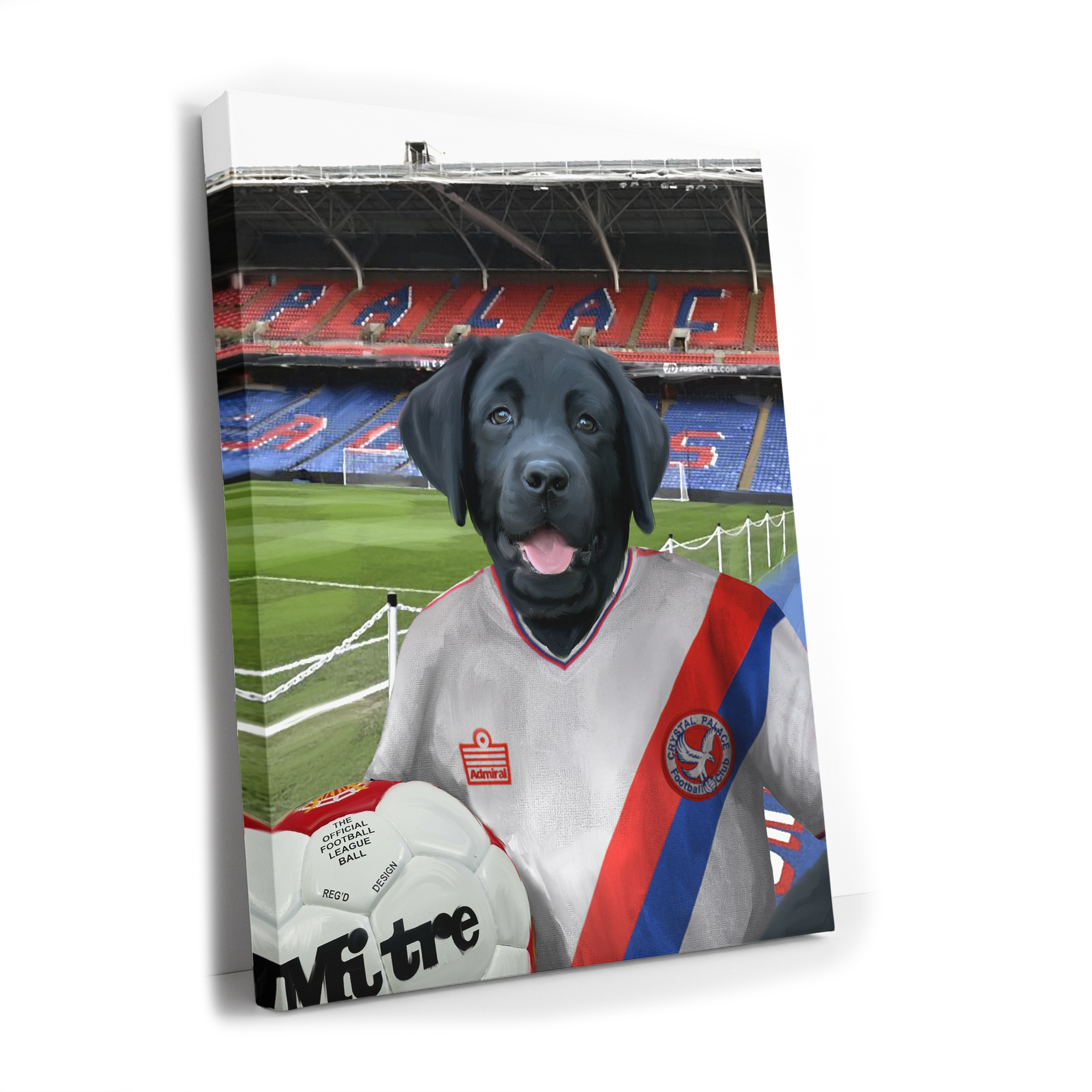 Your Pet in a Crystal Palace 1978 Home Shirt inside Selhurst Park