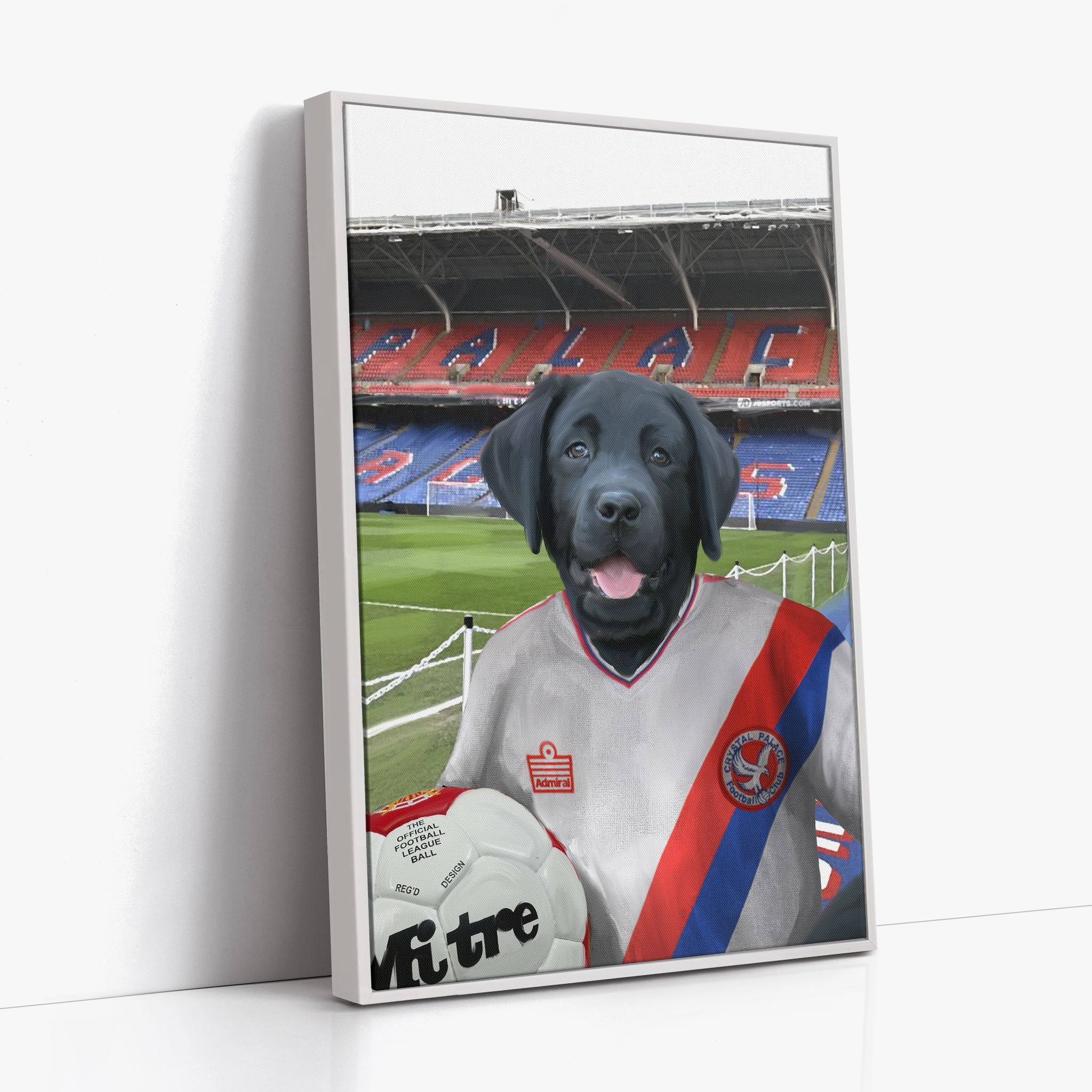 Your Pet in a Crystal Palace 1978 Home Shirt inside Selhurst Park