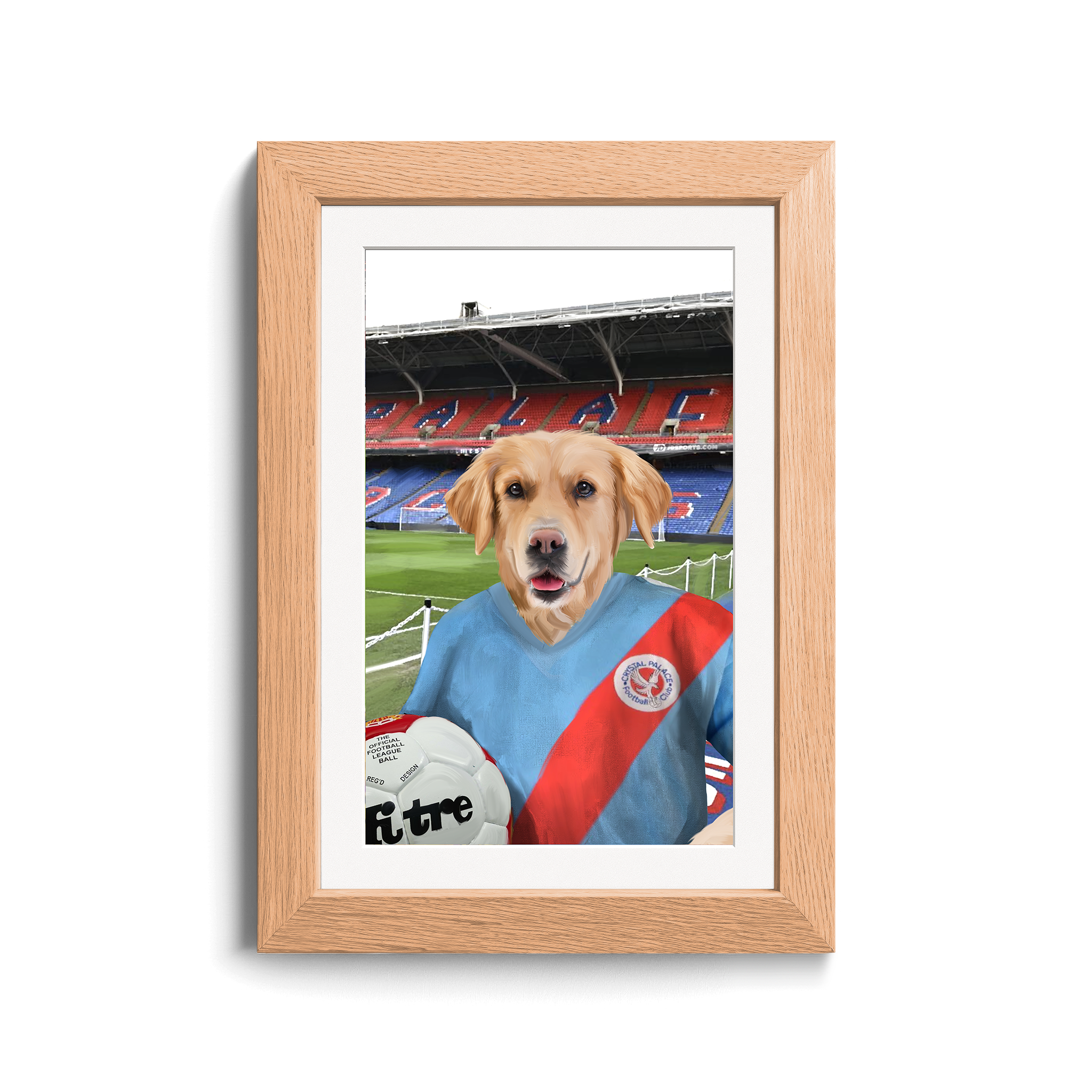 Your Pet in a Crystal Palace 1980-83 Home Shirt inside Selhurst Park