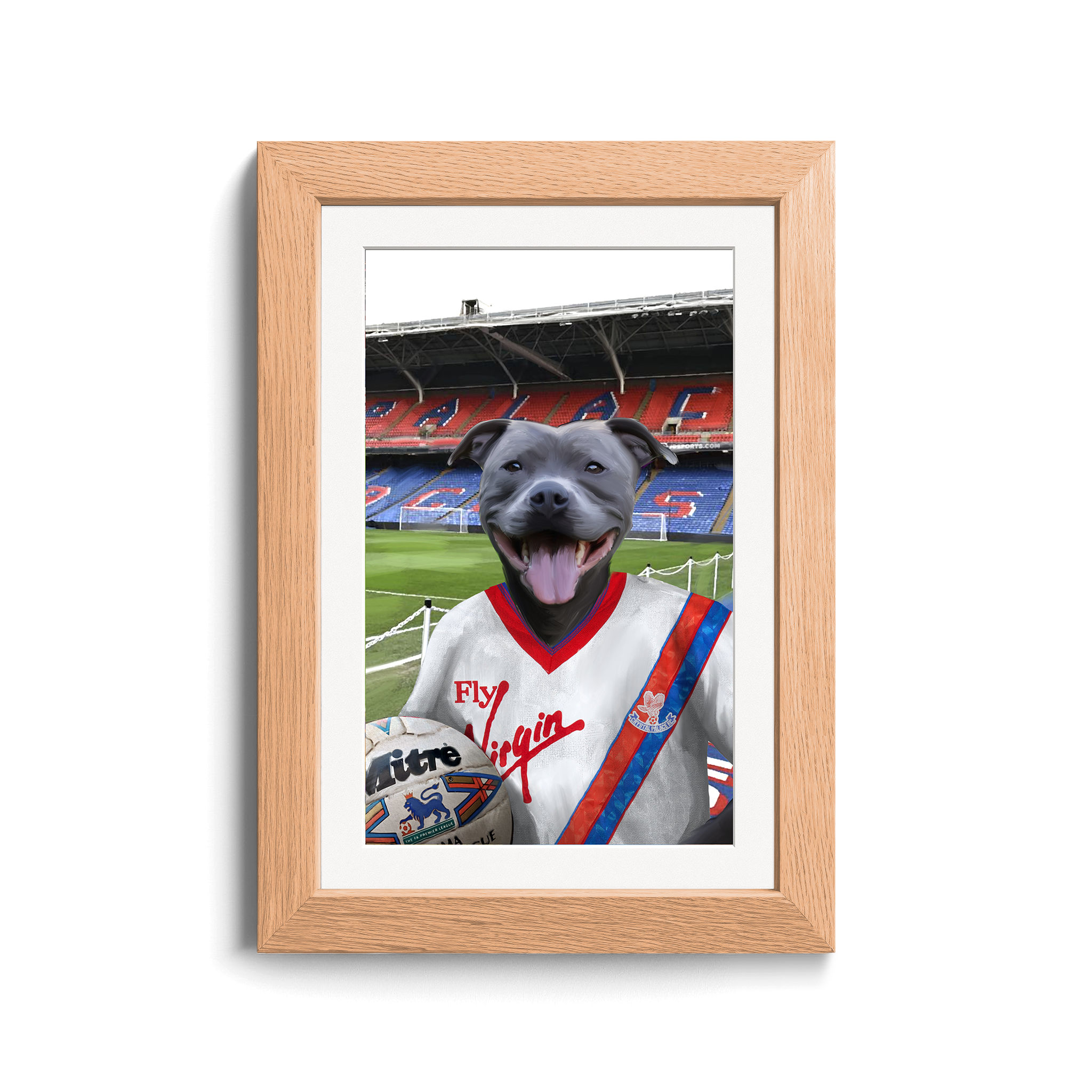 Your Pet in a Crystal Palace 1989-90 Home Shirt inside Selhurst Park