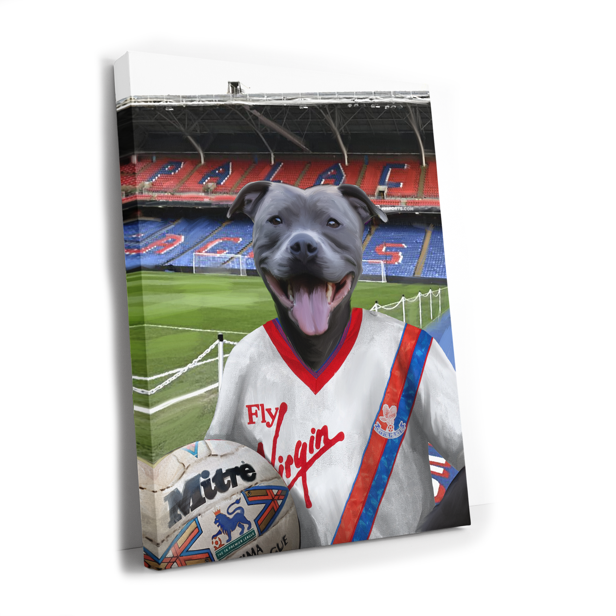 Your Pet in a Crystal Palace 1989-90 Home Shirt inside Selhurst Park