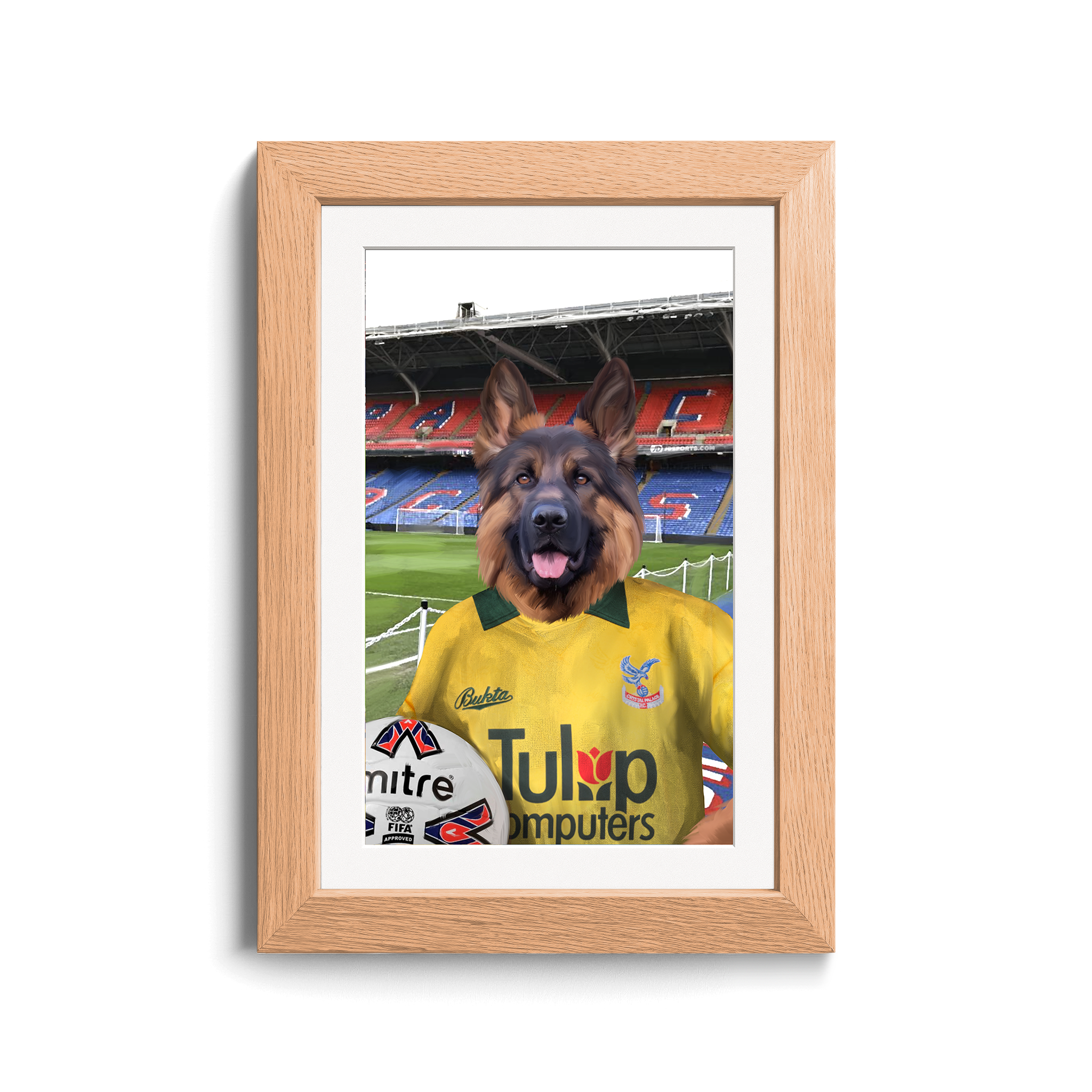 Your Pet in a Crystal Palace 1981 Away Shirt inside Selhurst Park