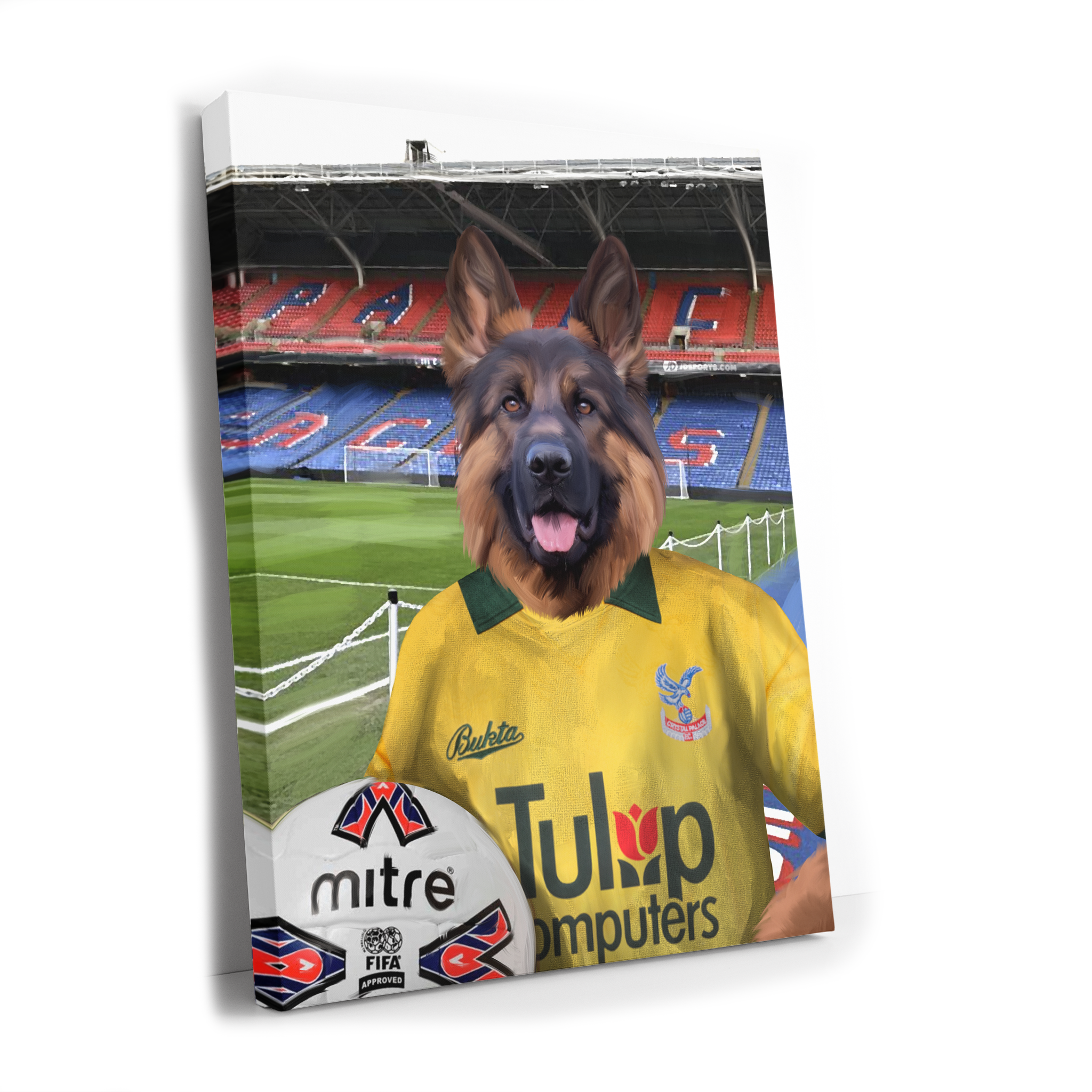 Your Pet in a Crystal Palace 1981 Away Shirt inside Selhurst Park