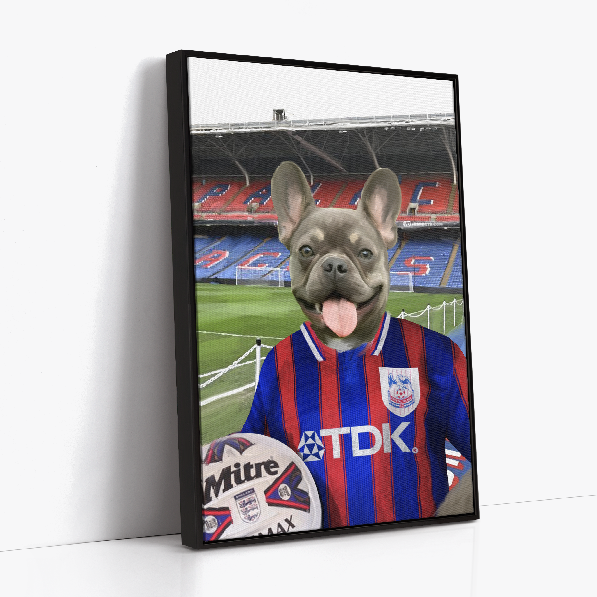 Your Pet in a Crystal Palace 1997 Home Shirt inside Selhurst Park