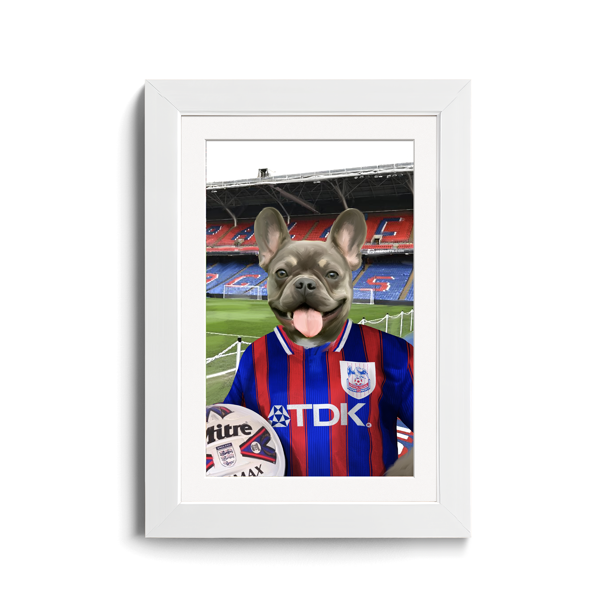 Your Pet in a Crystal Palace 1997 Home Shirt inside Selhurst Park