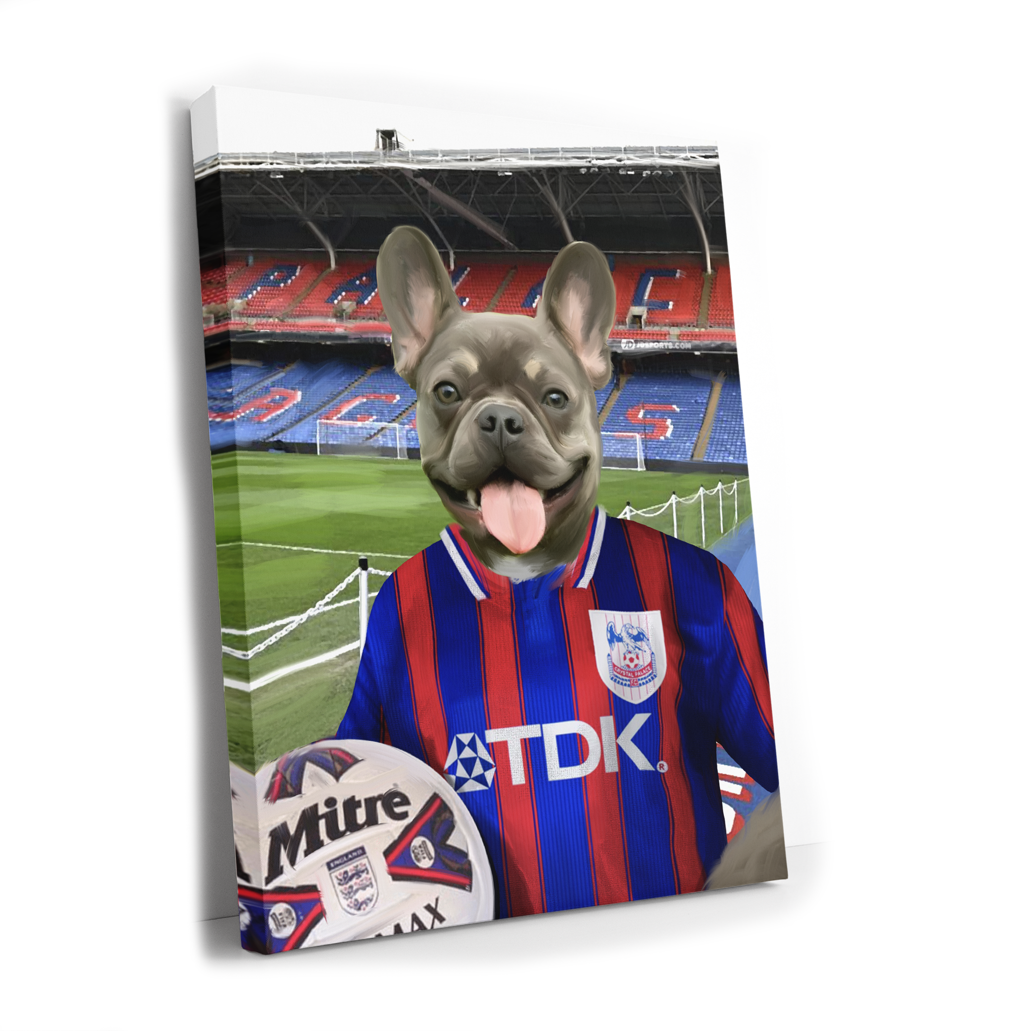 Your Pet in a Crystal Palace 1997 Home Shirt inside Selhurst Park