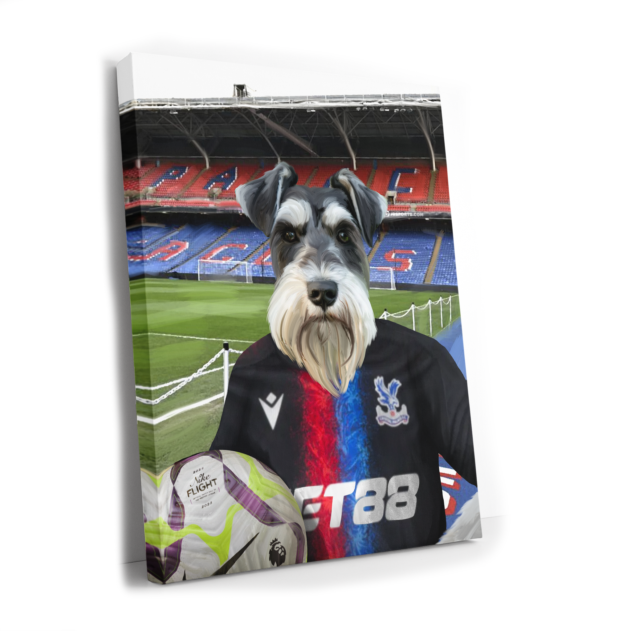 Your Pet in a Crystal Palace 24/25 3rd Shirt inside Selhurst Park