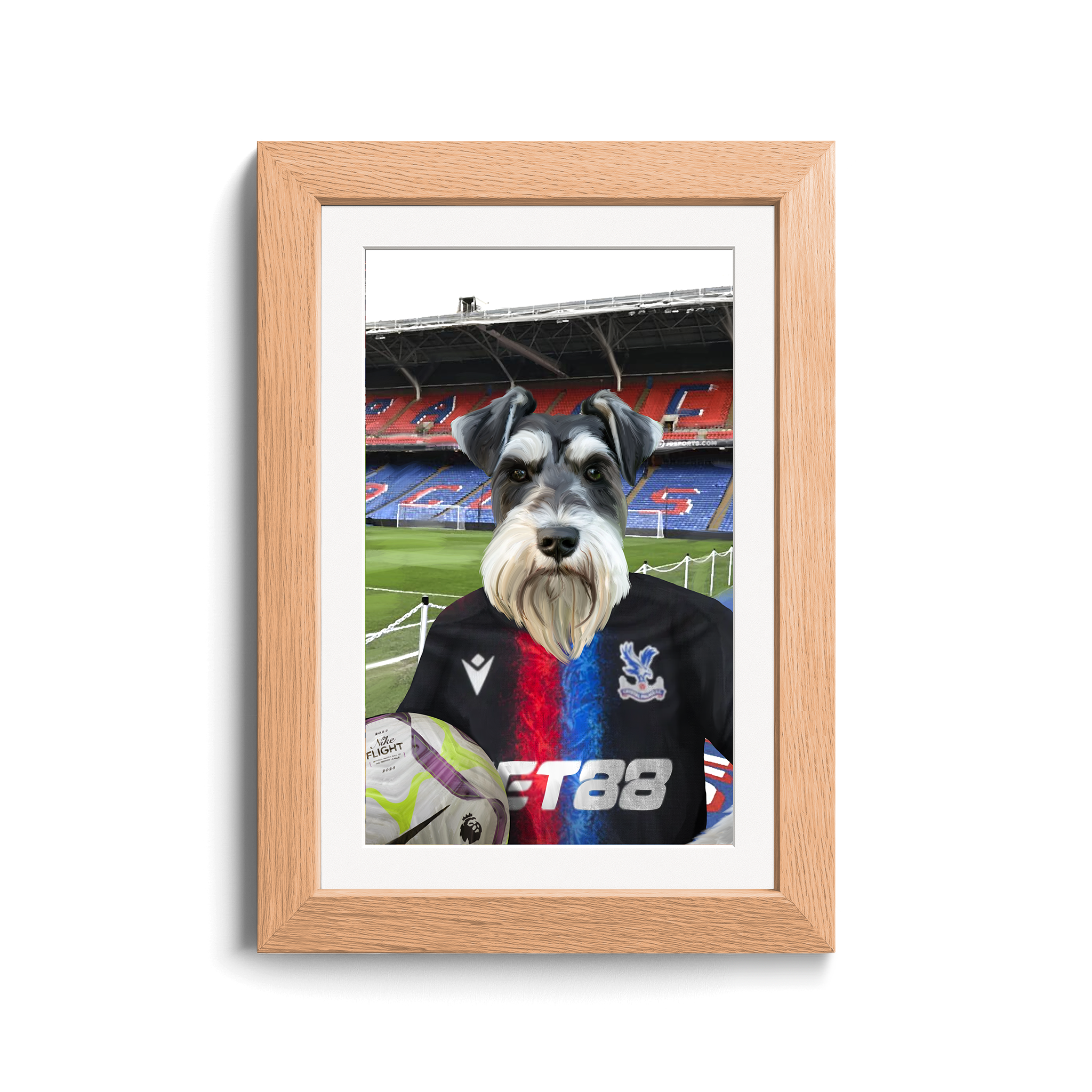 Your Pet in a Crystal Palace 24/25 3rd Shirt inside Selhurst Park