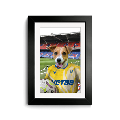 Your Pet in a Crystal Palace 24/25 Away Shirt inside Selhurst Park