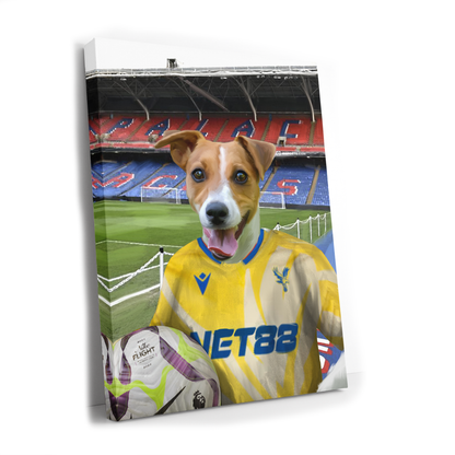 Your Pet in a Crystal Palace 24/25 Away Shirt inside Selhurst Park