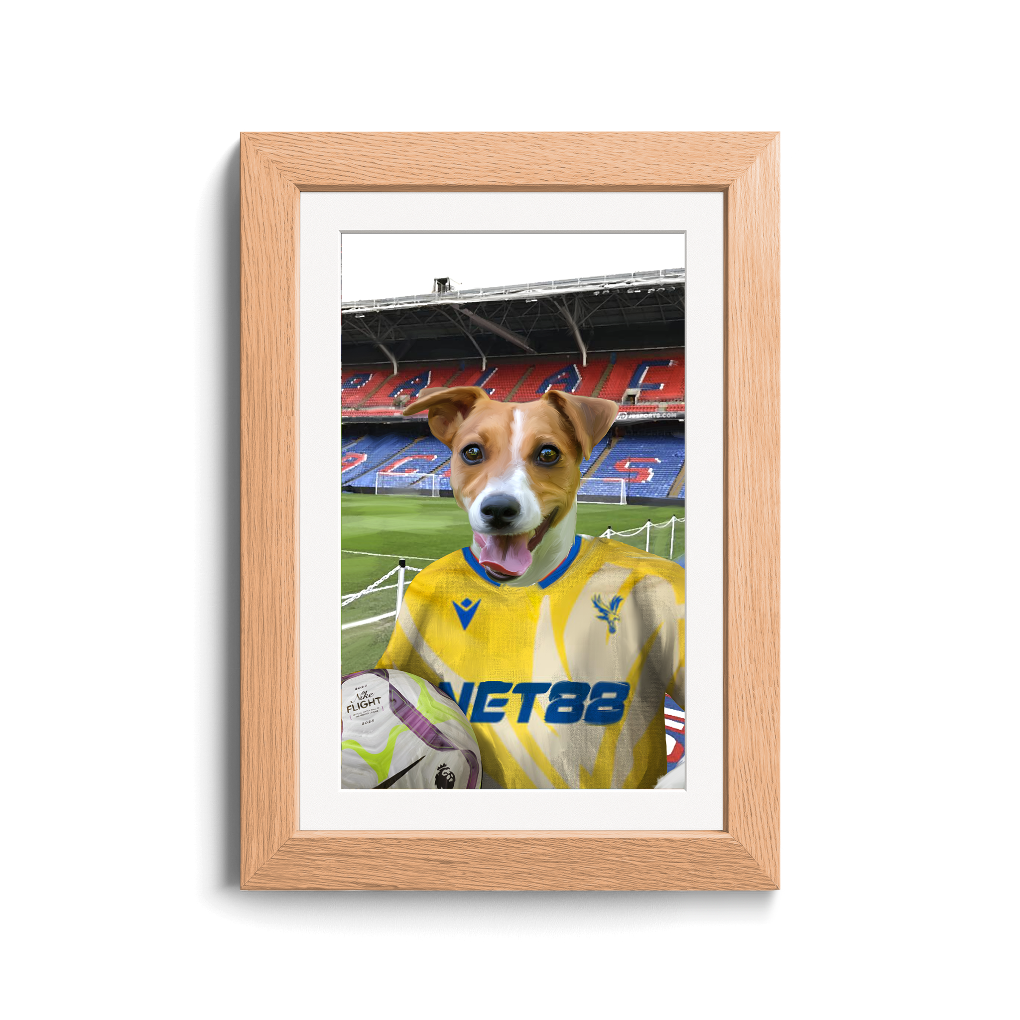 Your Pet in a Crystal Palace 24/25 Away Shirt inside Selhurst Park