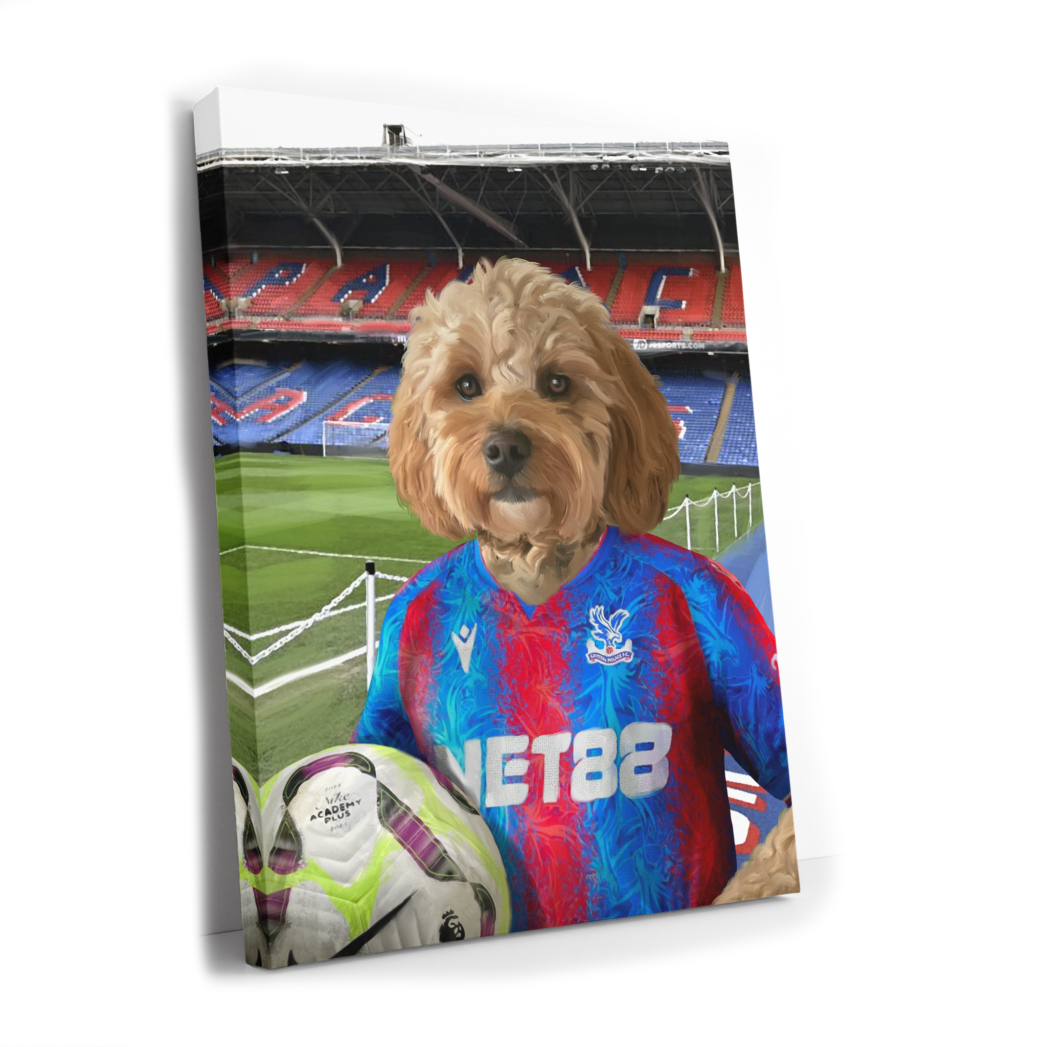 Your Pet in a Crystal Palace 24/25 Home Shirt inside Selhurst Park