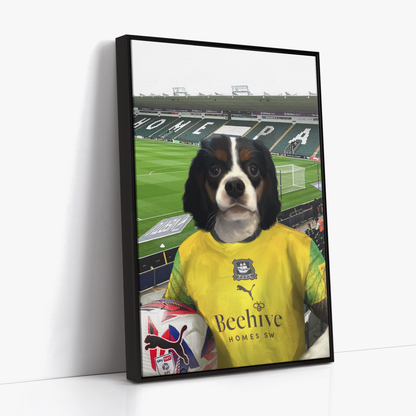 Your Pet in a Plymouth 24/25 3rd Shirt inside Home Park