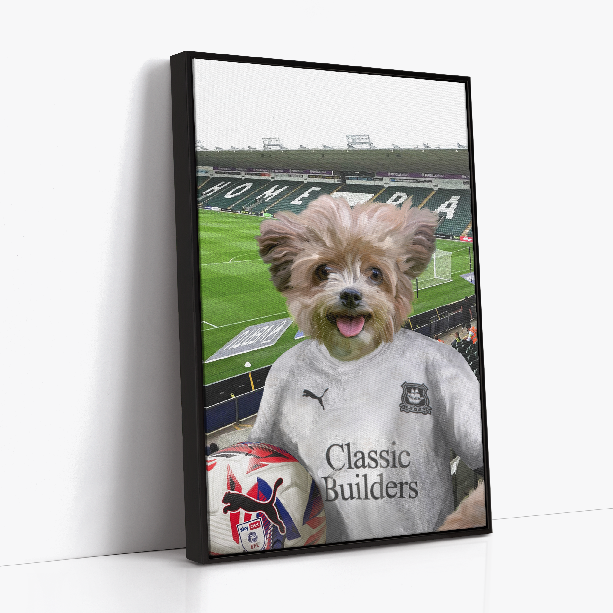 Your Pet in a Plymouth 24/25 Away Shirt inside Home Park