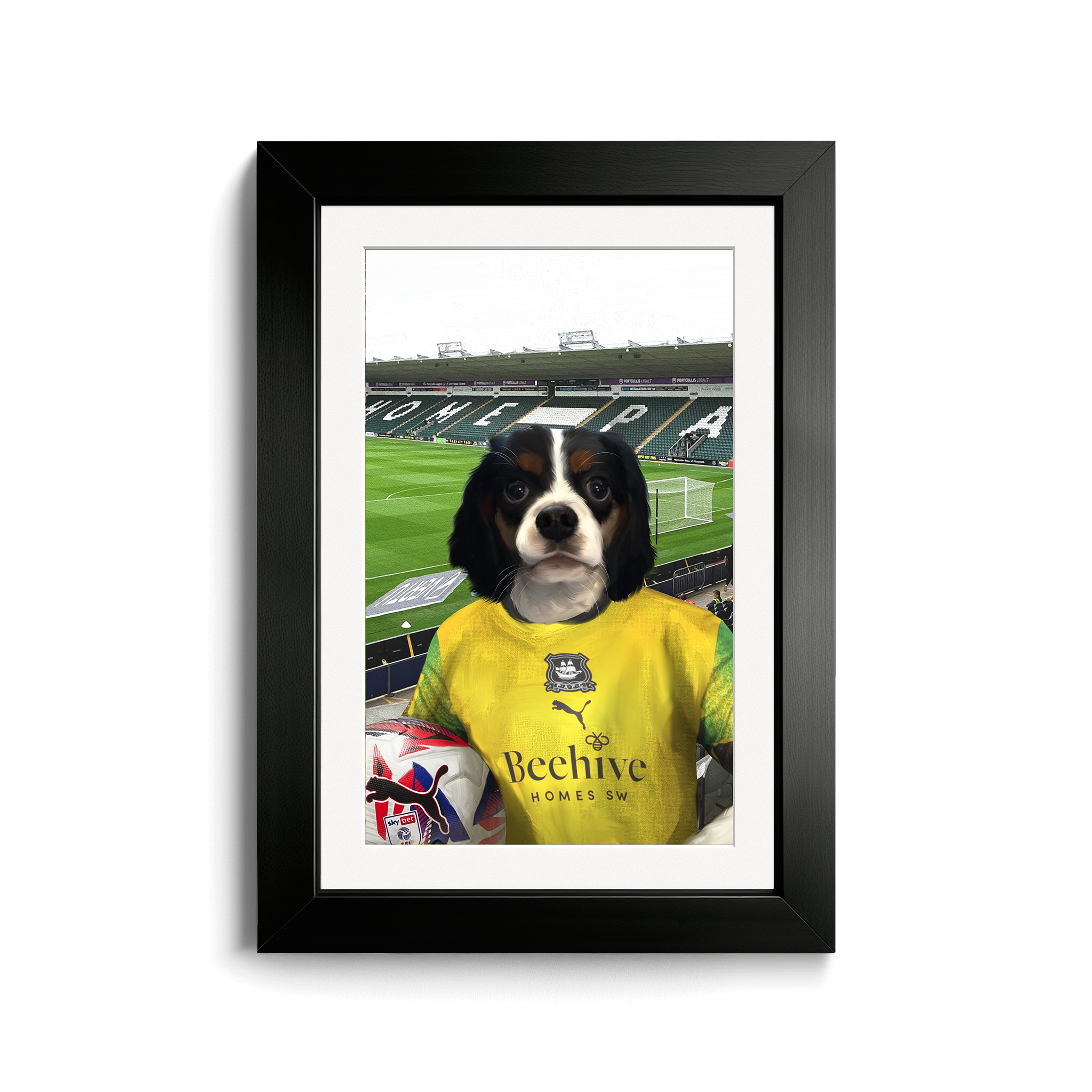 Your Pet in a Plymouth 24/25 3rd Shirt inside Home Park