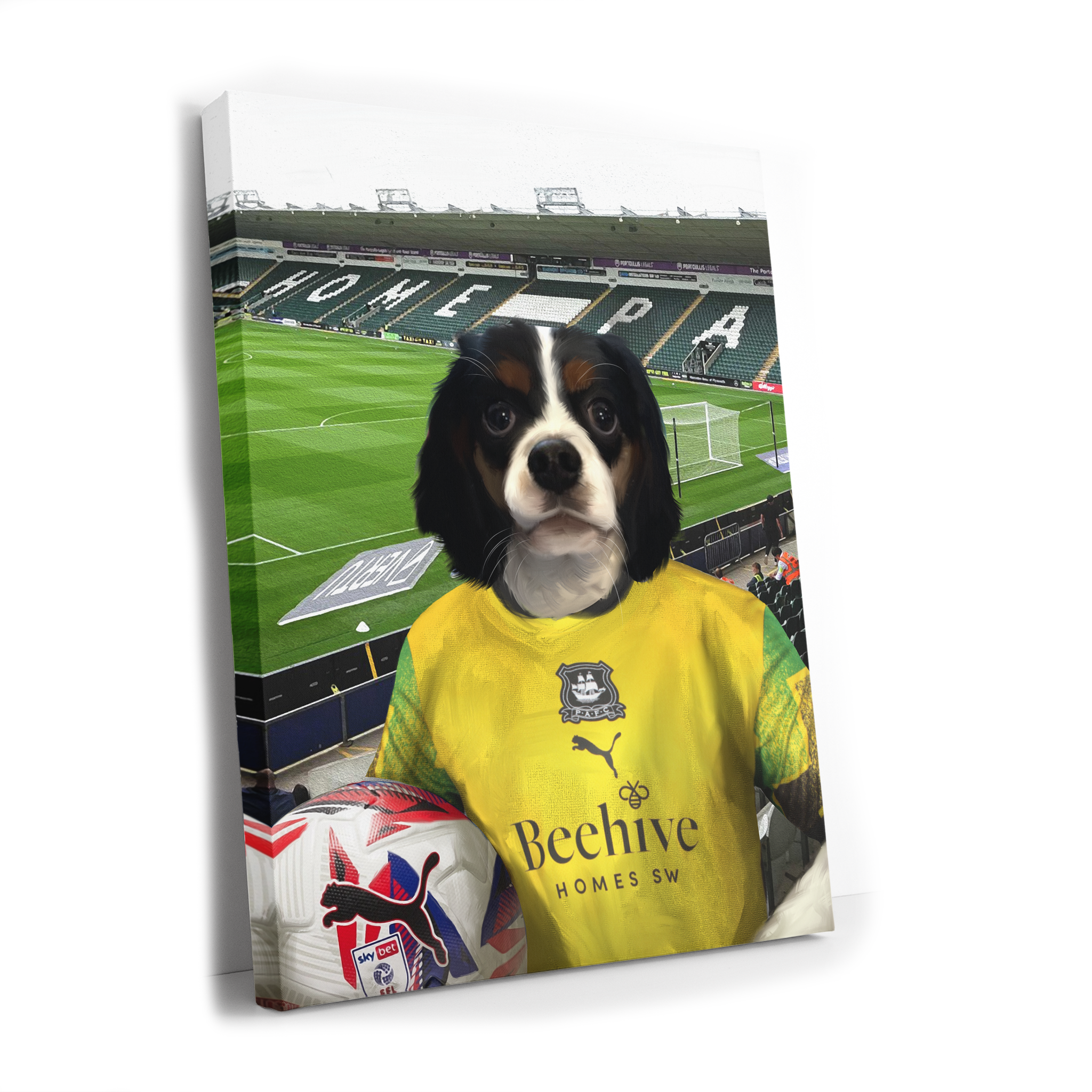 Your Pet in a Plymouth 24/25 3rd Shirt inside Home Park