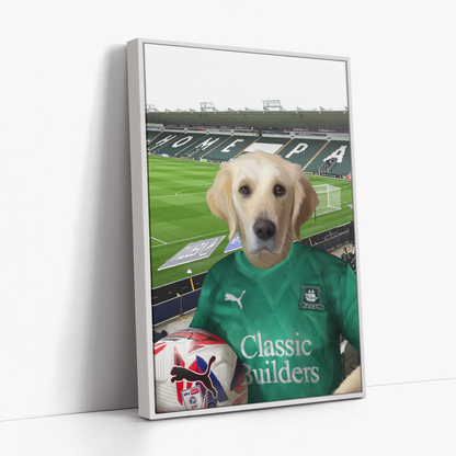 Your Pet in a Plymouth 24/25 Home Shirt inside Home Park