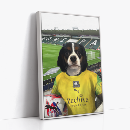 Your Pet in a Plymouth 24/25 3rd Shirt inside Home Park