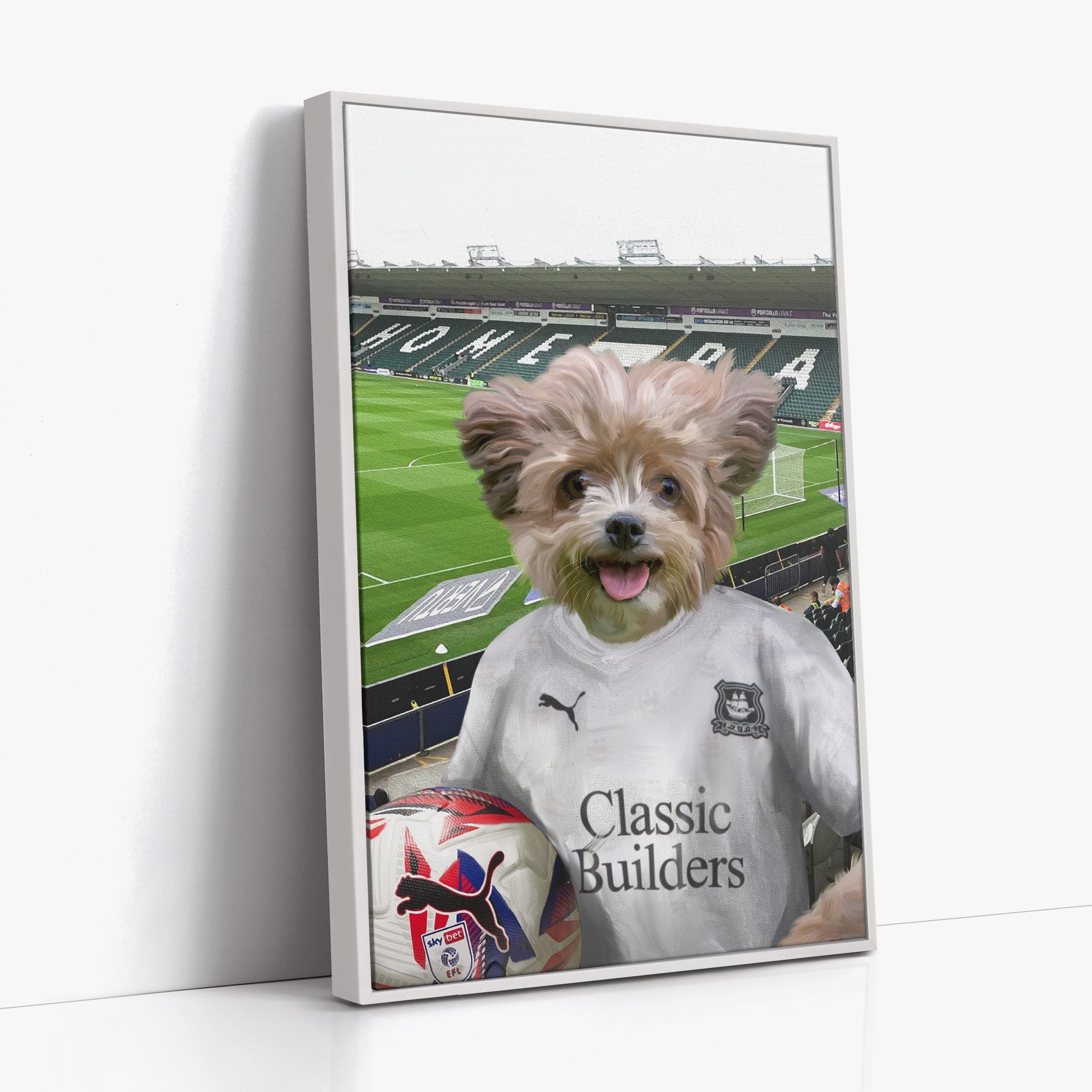 Your Pet in a Plymouth 24/25 Away Shirt inside Home Park