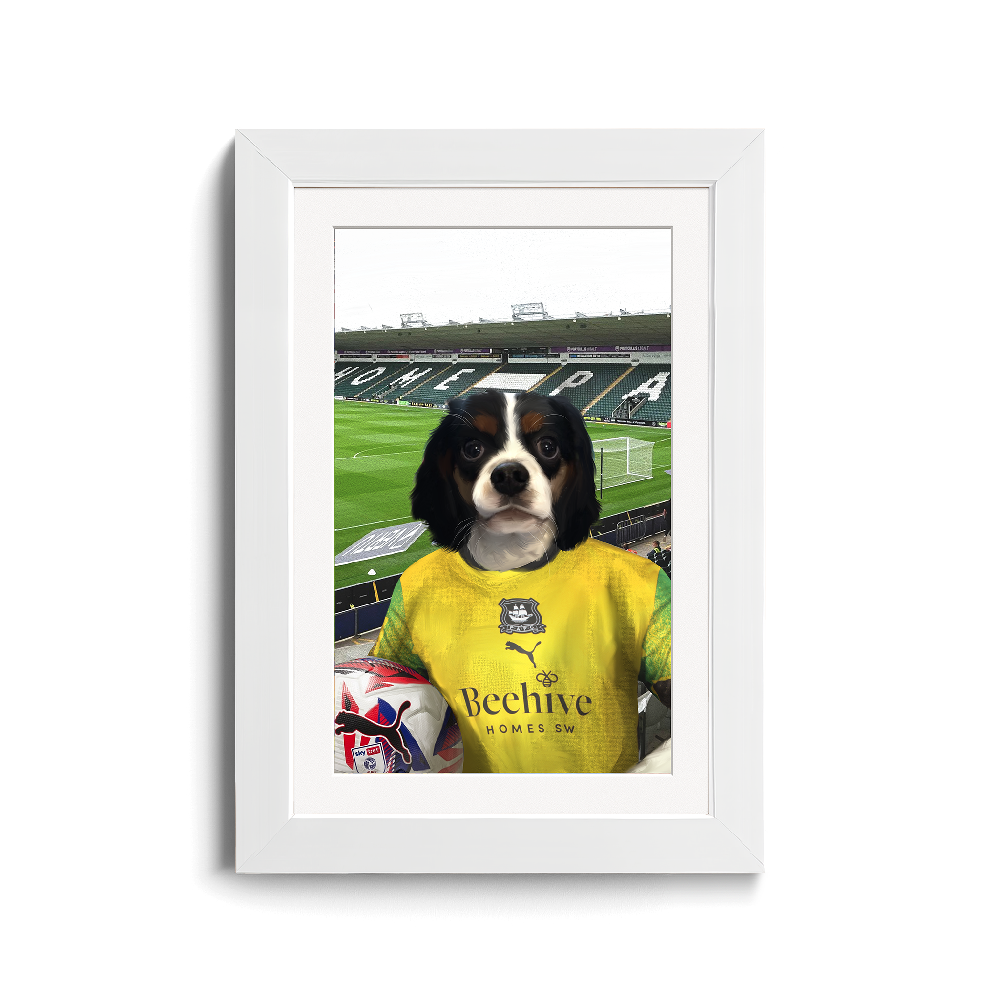 Your Pet in a Plymouth 24/25 3rd Shirt inside Home Park