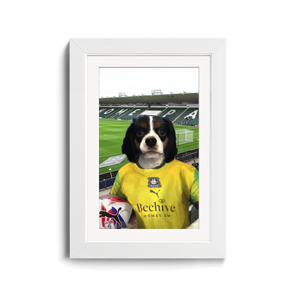 Your Pet in a Plymouth 24/25 3rd Shirt inside Home Park