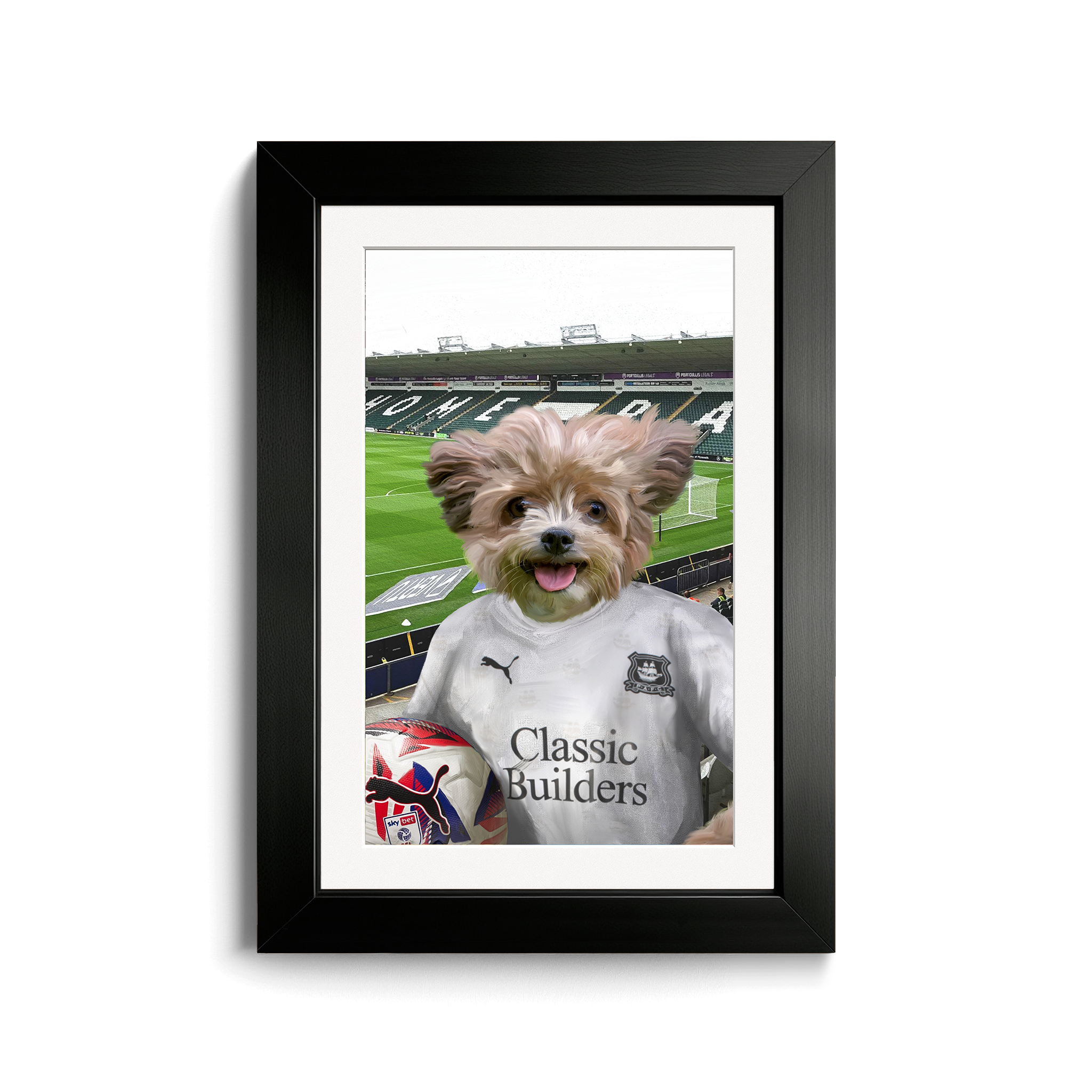 Your Pet in a Plymouth 24/25 Away Shirt inside Home Park