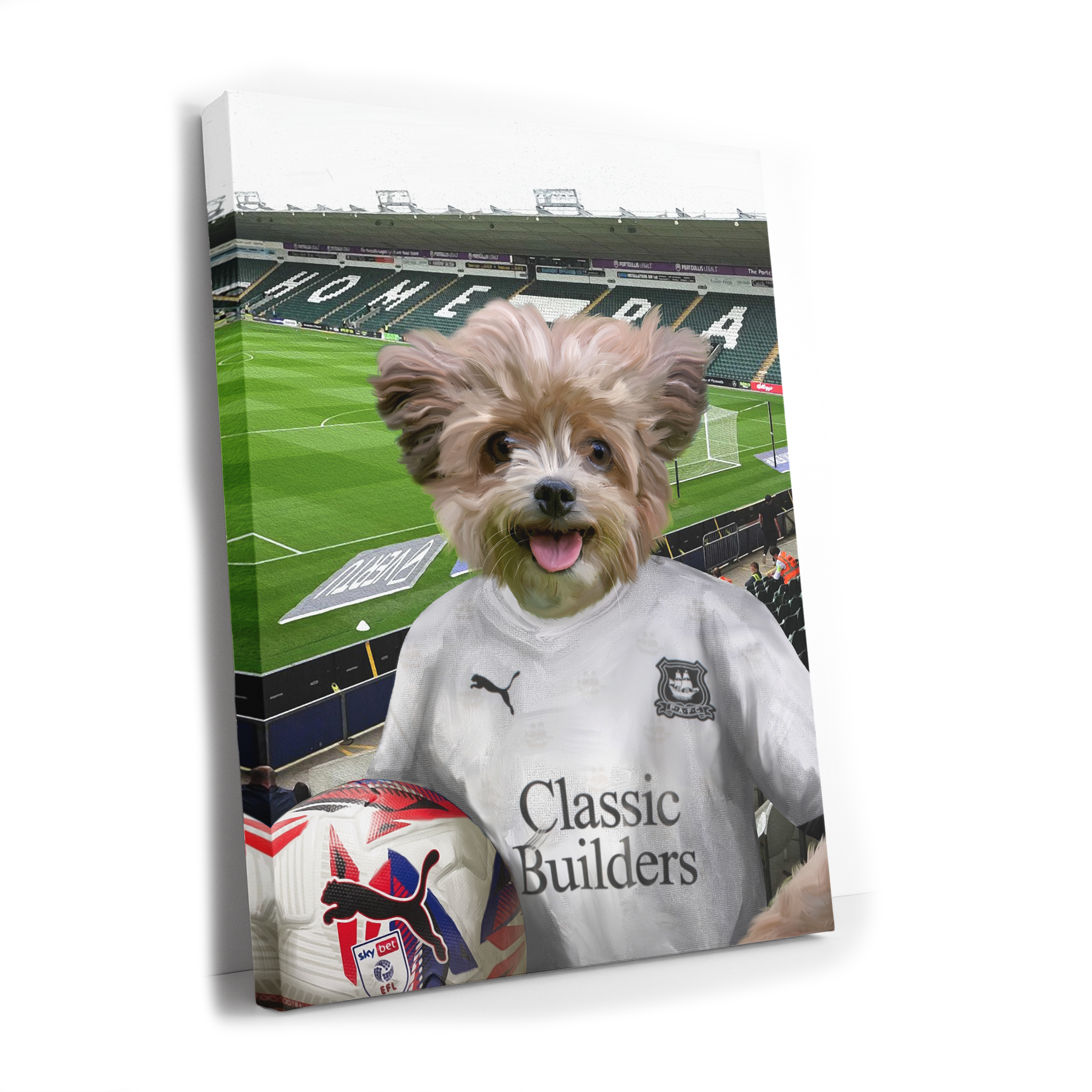 Your Pet in a Plymouth 24/25 Away Shirt inside Home Park