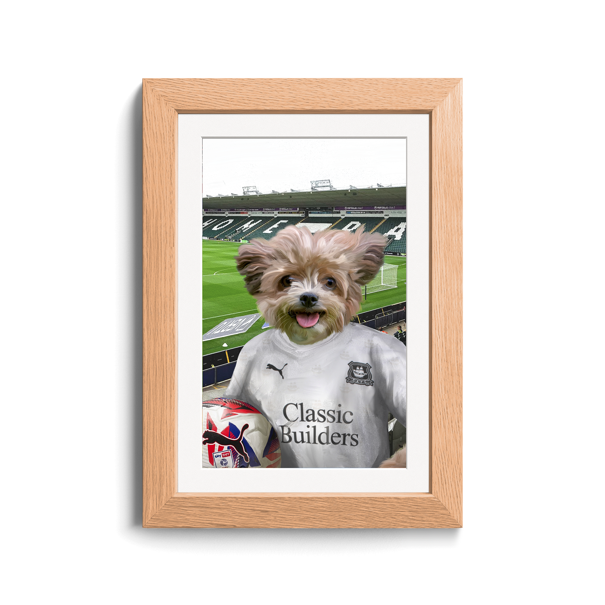 Your Pet in a Plymouth 24/25 Away Shirt inside Home Park