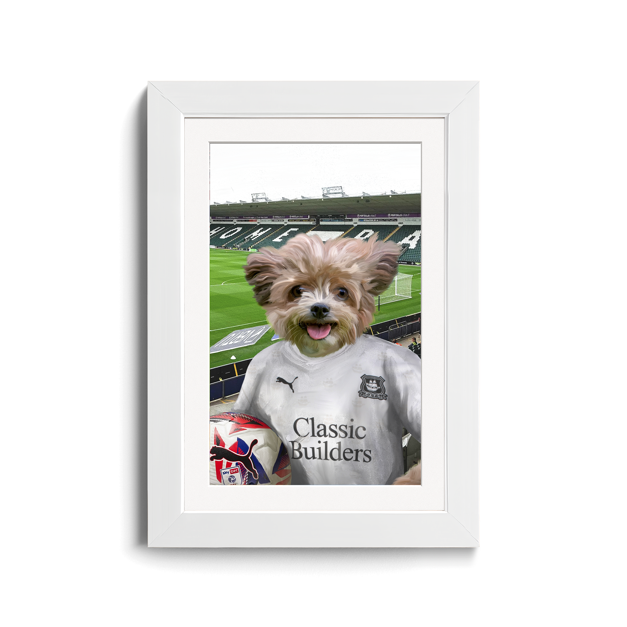 Your Pet in a Plymouth 24/25 Away Shirt inside Home Park