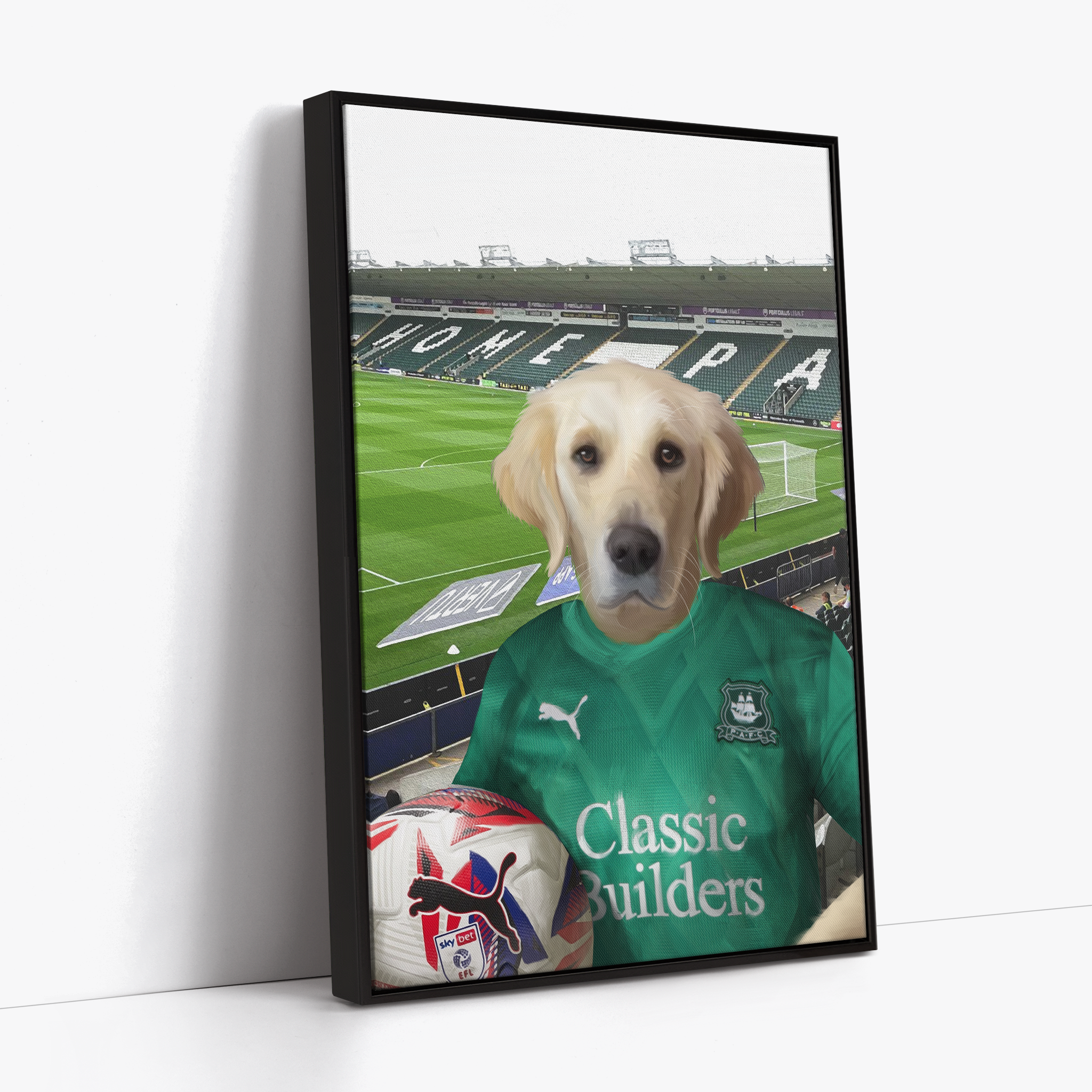 Your Pet in a Plymouth 24/25 Home Shirt inside Home Park