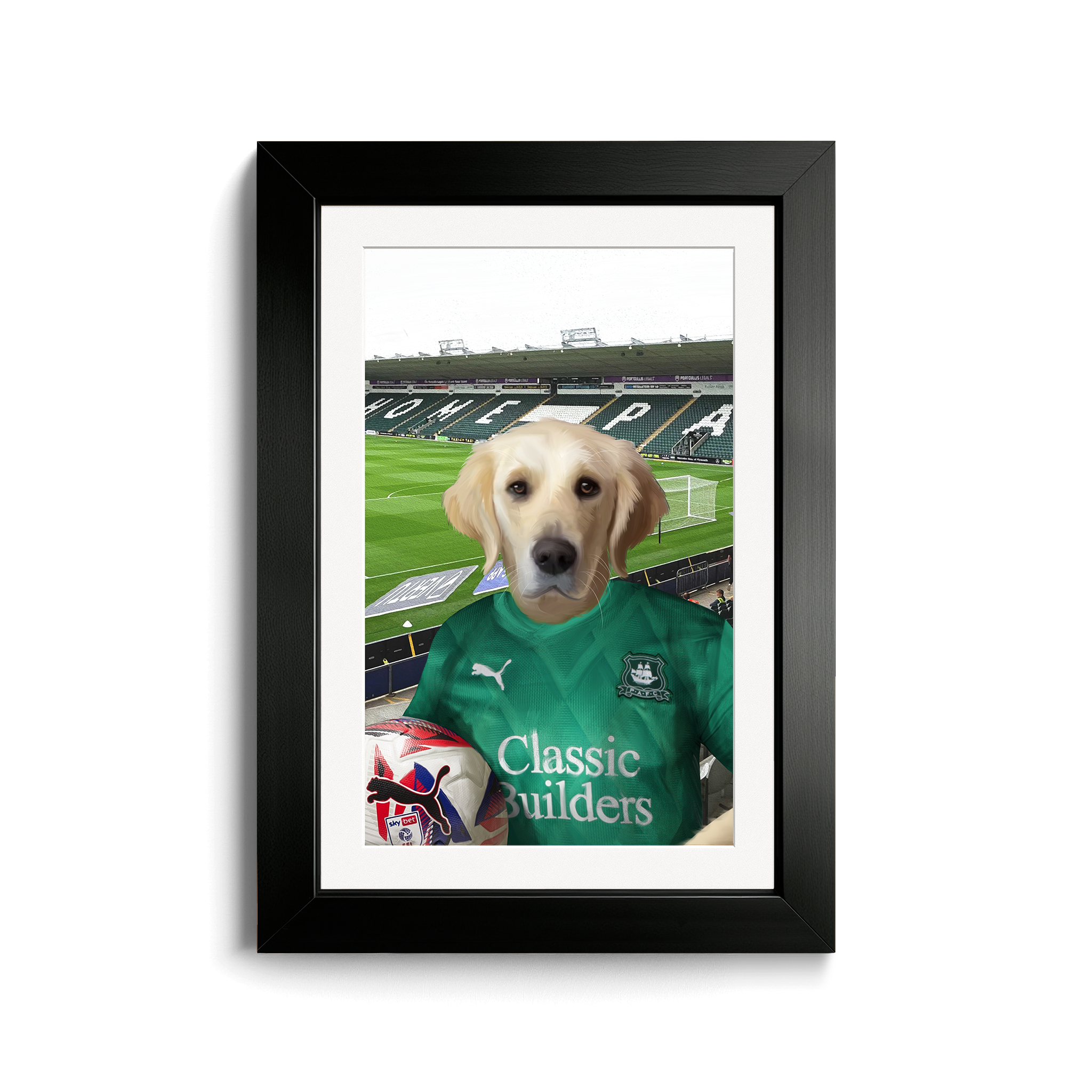 Your Pet in a Plymouth 24/25 Home Shirt inside Home Park