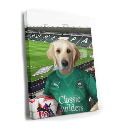 Your Pet in a Plymouth 24/25 Home Shirt inside Home Park