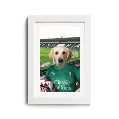 Your Pet in a Plymouth 24/25 Home Shirt inside Home Park