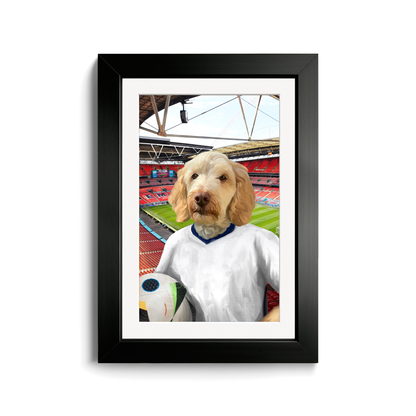 Your Pet in any Football Shirt