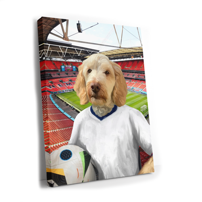 Your Pet in any Football Shirt