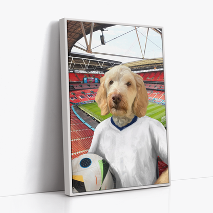 Your Pet in any Football Shirt