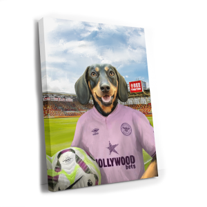 Your Pet in a 2024 to 2025 Brentford Away Shirt Inside Gtech Stadium onto Canvas