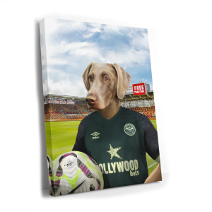 Your Pet in a 2024 to 2025 Brentford Third Shirt Inside Gtech Stadium onto Canvas